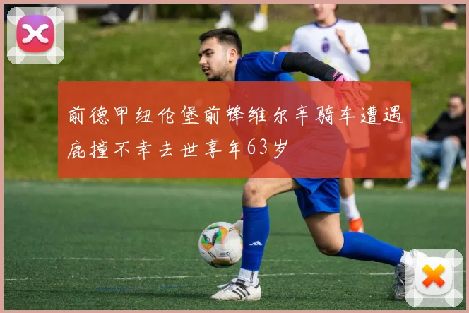 前德甲纽伦堡前锋维尔辛骑车遭遇鹿撞不幸去世享年63岁