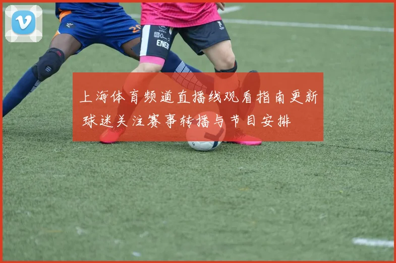上海体育频道直播线观看指南更新 球迷关注赛事转播与节目安排