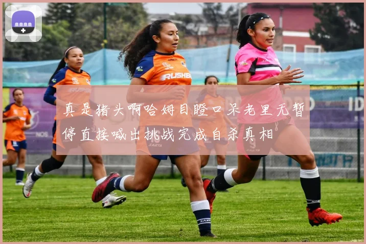 真是猪头啊哈姆目瞪口呆老里无暂停直接喊出挑战完成自杀真相